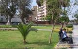 Apartment Peru:  this Is A Cute Two Bedroom Apartment Of 78 Mts 