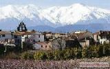 Apartment Languedoc Roussillon:  apartment At Foot Of Pistes 