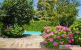 Holiday Home Campania:  villa With Private Swimming Pool And Garden 