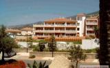 Apartment Puerto De La Cruz Canarias:  holiday Flat La Flora - ...