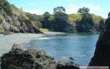 Holiday Home Other Localities New Zealand:  dolphin Bay Holiday ...
