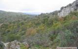 Holiday Home Spain:  cottage "cortijo De Arriba" 