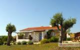 Holiday Home Portugal:  lovely Restored Portuguese Farmhouse 