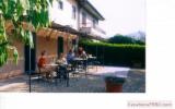 Apartment Italy:  podere Zollaio Farm Holiday Apartments - Vinci 