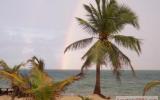 Holiday Home Belize:  green Parrot Beach Houses And Resort 