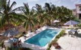 Holiday Home Speightstown:  barbados Vacation Home With Private Pool 