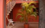 Holiday Home Costa Rica:  hideaway In San Jose 