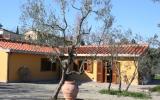 Holiday Home Strada In Chianti Sauna: House Casa Clotilde 