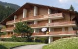 Apartment Vaud Sauna: Apartment Mont Rose 