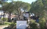Holiday Home Saint Tropez Sauna: Fr8450.110.2 