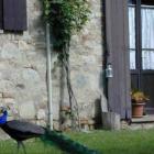 Holiday Home Umbertide: Holiday Home Umbria 6 Persons 