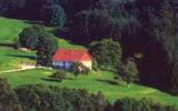 Holiday Home France: Holiday Home Alsace/vosges/lorraine 12 Persons 
