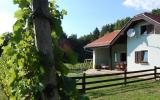 Holiday Home Slovenia: Holiday Cottage In Moravske Toplice, Suhi Vhr With ...