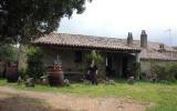 Holiday Home Arzachena Waschmaschine: Costa Smeralda Holiday Farmhouse ...