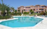 Apartment Cyprus: Kato Paphos Holiday Apartment Rental, Limnaria Gardens ...