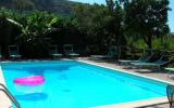 Apartment Campania: Sorrento, Campania Holiday Apartment Rental With Shared ...