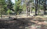 Holiday Home Oregon Golf: Nice Home Close To The Deschutes River And Fort Rock ...
