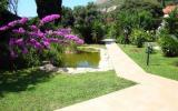 Holiday Home Croatia Air Condition: Villa With Private Pool And Garden - ...