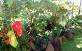 Holiday Home Haleiwa Tennis: Secret Garden Paradise Retreat Near Beaches - ...