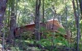 Holiday Home Todd North Carolina: Bear E Nice - Cabin Rental Listing Details 