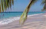 Holiday Home Sarasota Surfing: Siesta Beach Tree House - Home Rental Listing ...