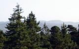 Holiday Home Manzanita Oregon: Sweeping Views Through The Treetops. Large ...