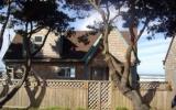 Holiday Home Waldport: Blue Bird Cottage - Home Rental Listing Details 