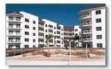 Apartment Orange Beach Golf: Palm Beach 13B - Condo Rental Listing Details 