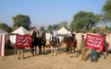 Holiday Home Rajasthan: Horseback Safaris And Riding Holidays In ...