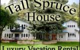 Holiday Home Colorado: Tall Spruce House For Rent In Durango Co 