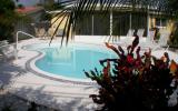 Holiday Home Clearwater Beach Fernseher: Gorgeous Tropical Pool Home With ...