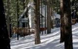 Holiday Home South Lake Tahoe: A Charming Chalet Amid Pine Trees 