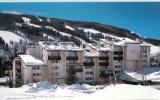 Apartment Vail Colorado: The Evergreen: Magnificent Condo With ...