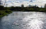 Holiday Home Tirau Fishing: A1 Trout Fishing And Farmstay 