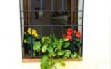 Holiday Home Spain: Casa Niveles, Holiday Cottage In Rural Andalucia, With ...