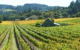 Holiday Home United States: Napa Valley Vineyard Home, Near Wineries And ...