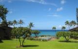 Apartment Hawaii: Charming Condo Facing Spluttering Palm Trees 