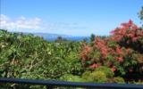 Holiday Home Hawaii Fernseher: Quiet Tropical Retreat On The North Shore 