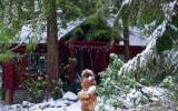 Holiday Home United States: Laughing Bear Log Cabins 