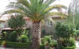 Apartment Galicia Fernseher: As Camelias -Double Room With Garden Views 