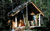 Holiday Home Alaska Fernseher: The Kochaka Cabin /full Kitchen & ...