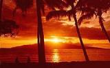 Apartment Hawaii: Ocean/beachfront Family And Leisure Resort 