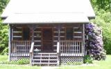 Holiday Home Tennessee Fernseher: The Hearts Bursting With Love Cabin 