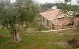 Holiday Home Foggia: Italy Apulia Vieste Villa For Rent Big Garden Near Beach 
