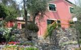 Holiday Home Liguria: Olivepress Lodge A Lovely Renovated Farmhouse With A ...