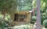 Holiday Home Asheville: Beautiful Cabin Located In Asheville North Carolina 