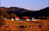 Holiday Home Colorado: Elk River Frontage, 2 Ponds - Great For Weddings Or ...