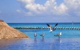Apartment Mexico Fernseher: Cancun Oceanfront Vacation Paradise - Mi Casa Es ...