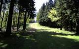 Holiday Home Germany: Am Wald In Fischbach, Thüringen For 4 Persons ...