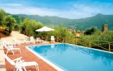 Holiday Home Lucca Toscana: Fattoria La Pieve: Accomodation For 8 Persons In ...
